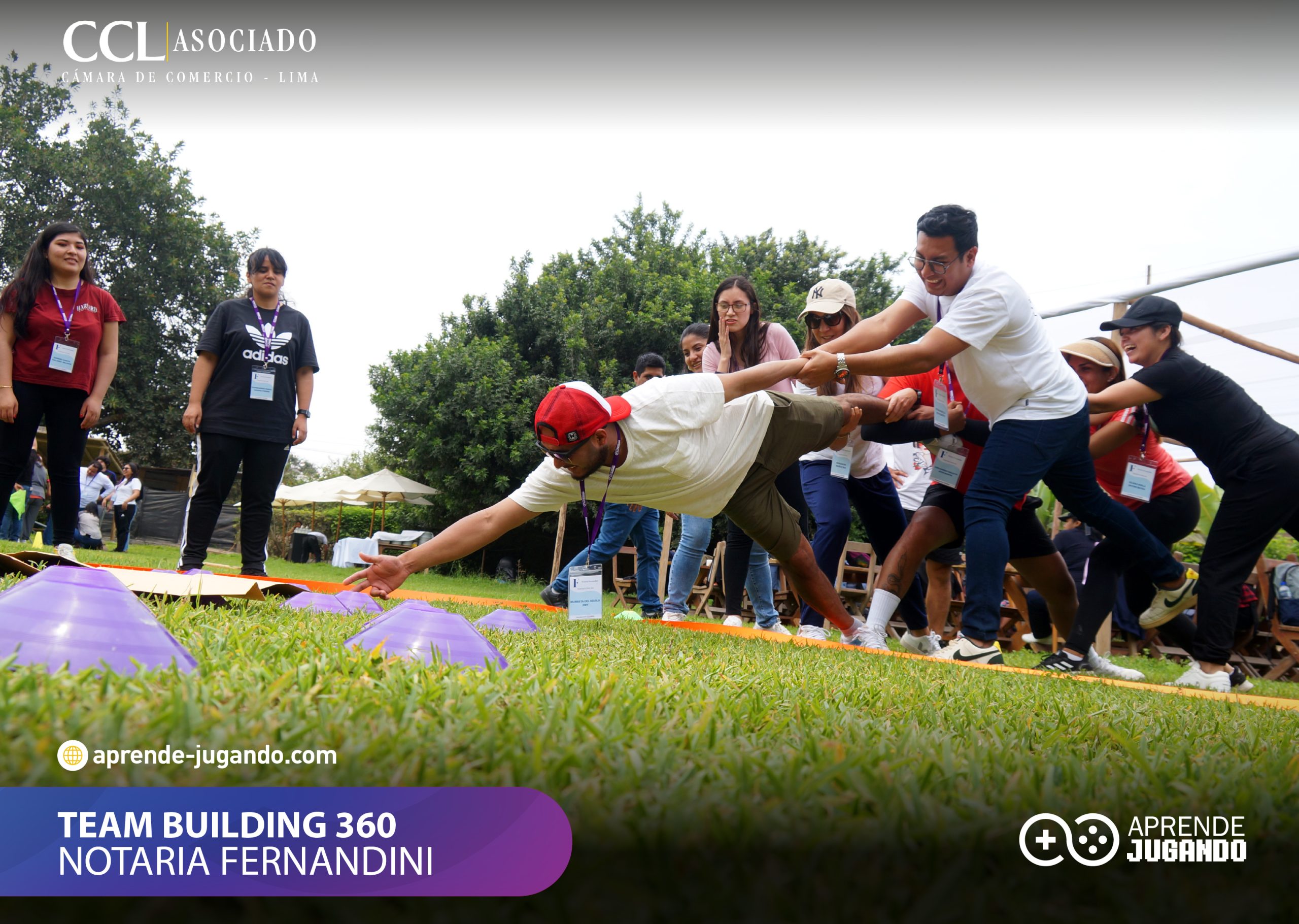 1080x768 3@3x-100 (1)